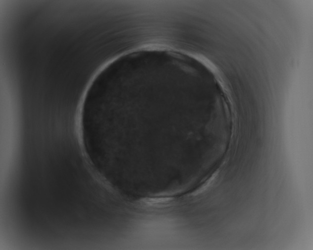 X0000101100864200807101446