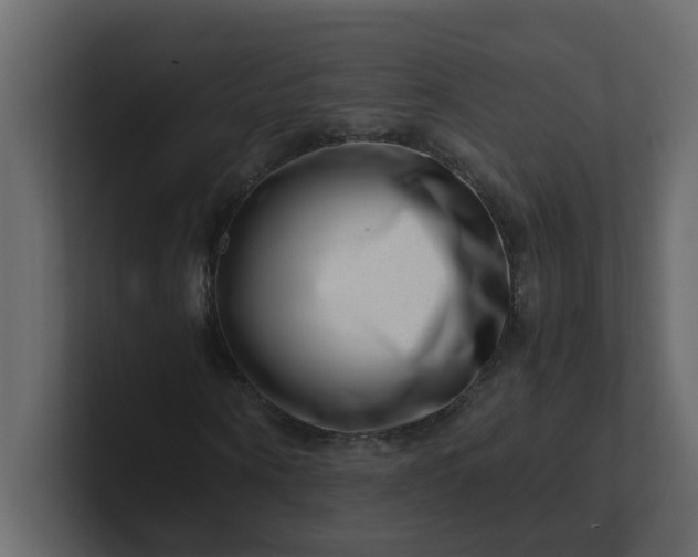 X0000101100866200807101445