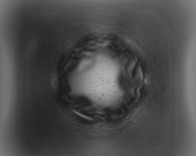 X0000101100867200807101445