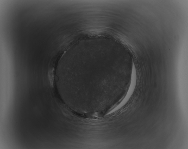 X0000101100868200807101445
