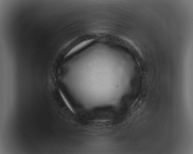 X0000101100871200807101445