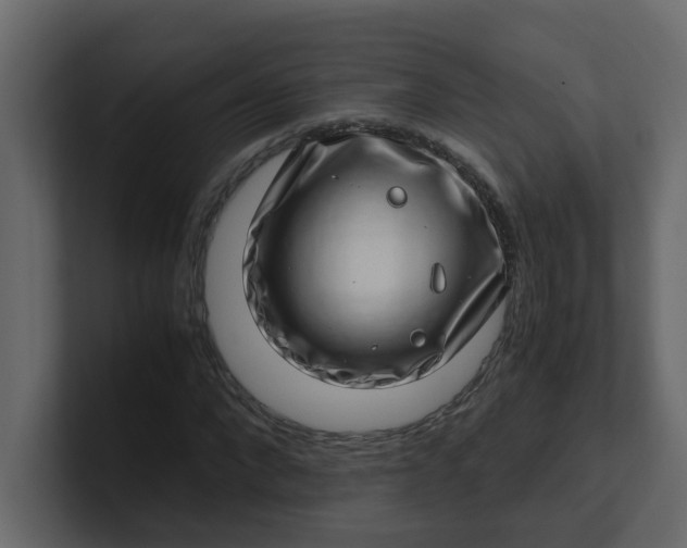 X0000101100872200807101445