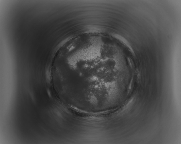X0000101100874200807101445