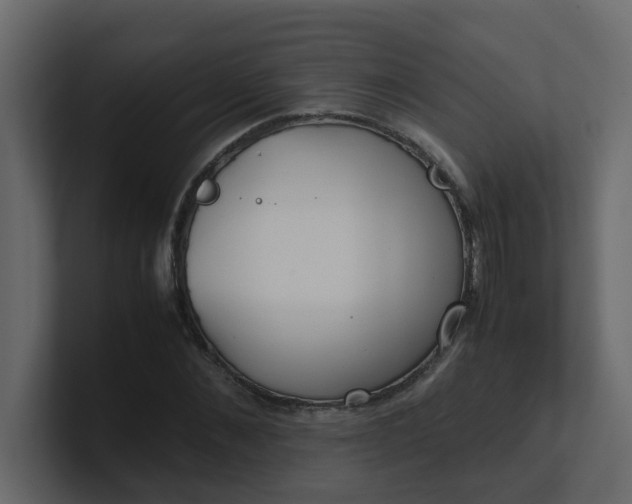 X0000101100876200807101445