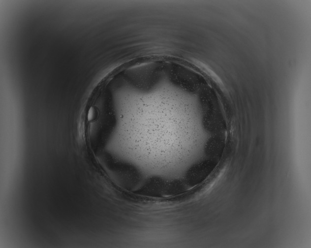 X0000101100877200807101445