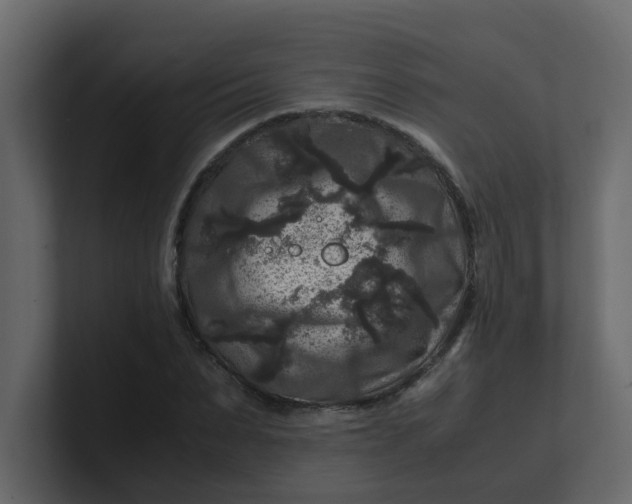 X0000101100879200807101445