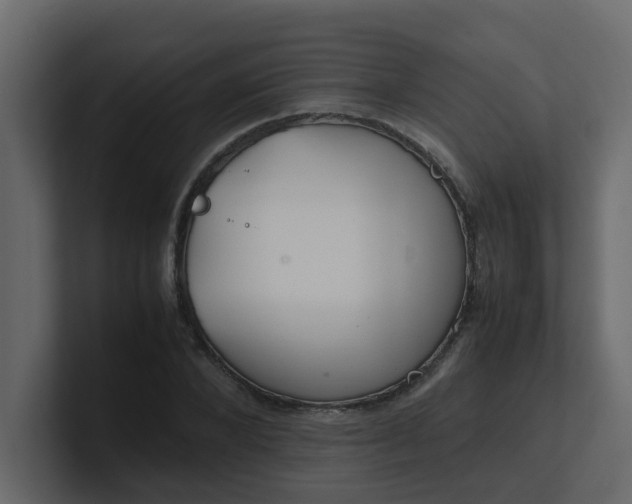 X0000101100880200807101445