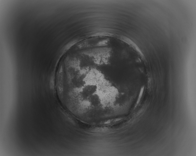 X0000101100882200807101445