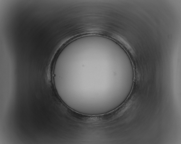 X0000101100883200807101445