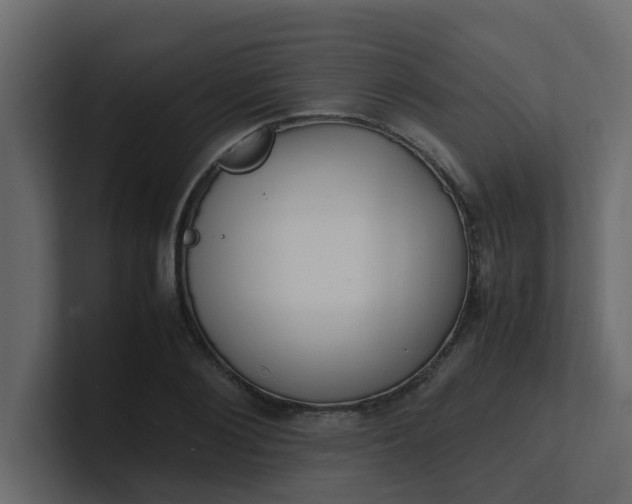 X0000101100884200807101445