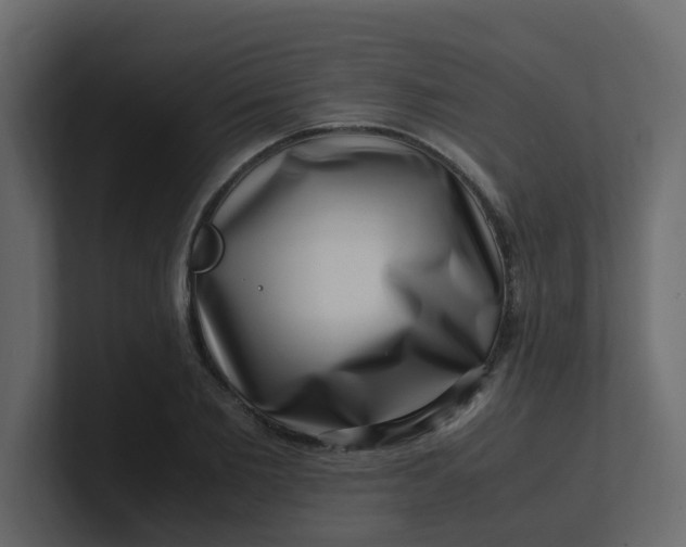 X0000101100885200807101445