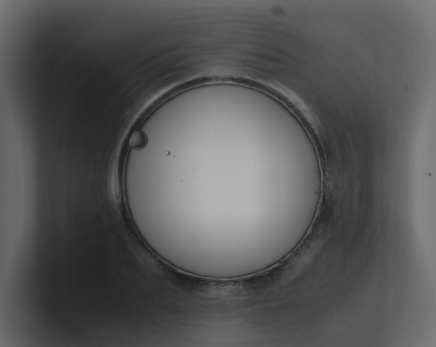 X0000101100887200807101445