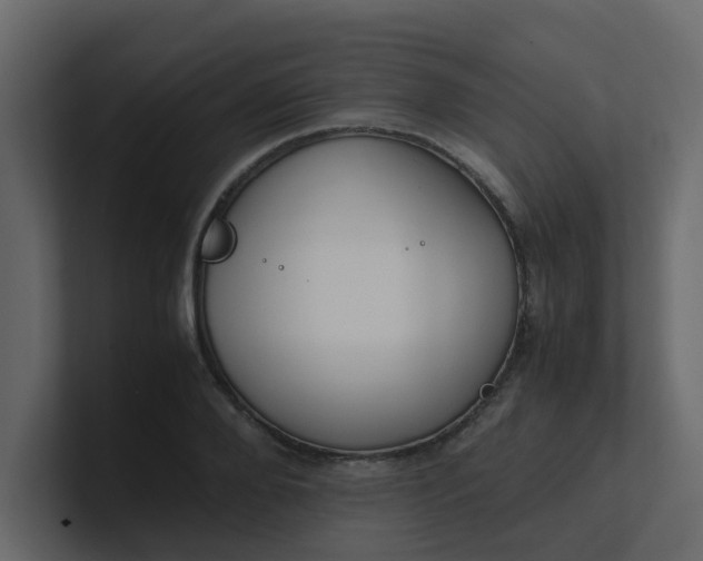 X0000101100888200807101445