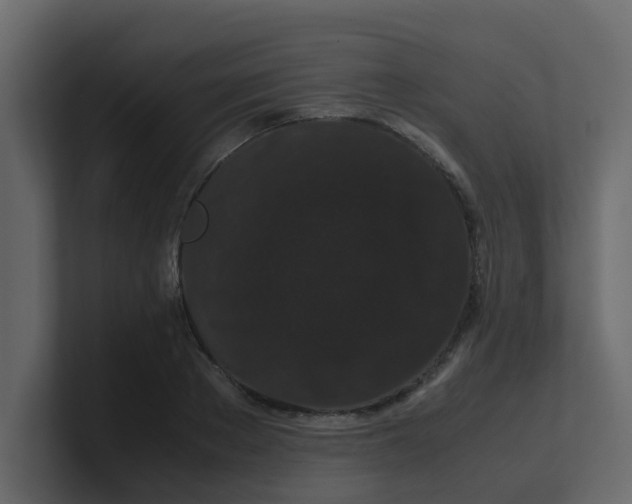 X0000101100889200807101445