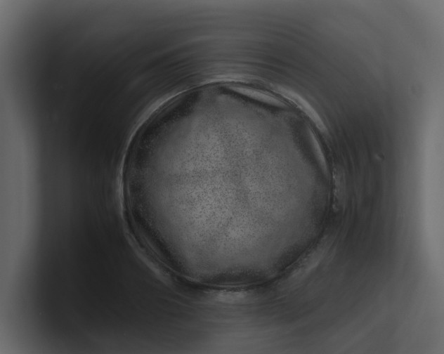 X0000101100890200807101445