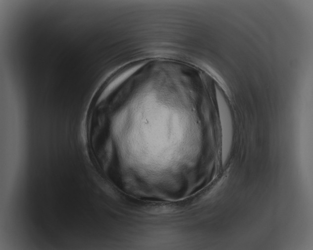 X0000101100891200807101445
