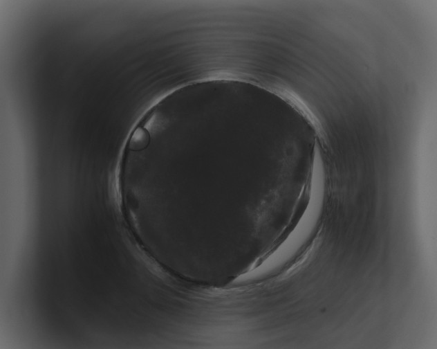 X0000101100892200807101445
