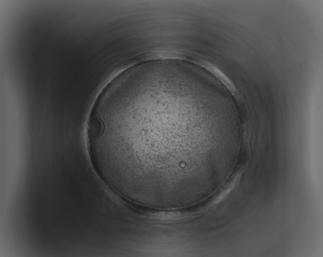X0000101100893200807101445
