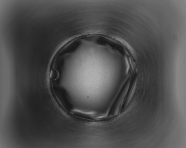 X0000101100894200807101445