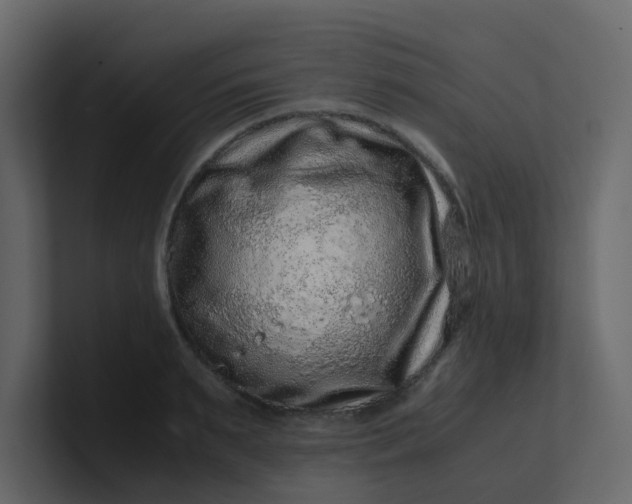 X0000101100895200807101445