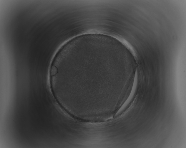 X0000101100896200807101445