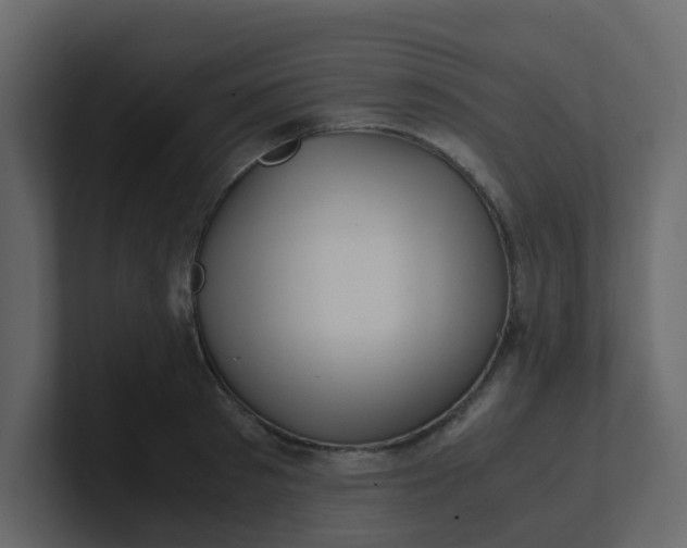 X0000101100897200807101445