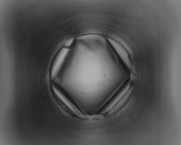 X0000101100898200807101445