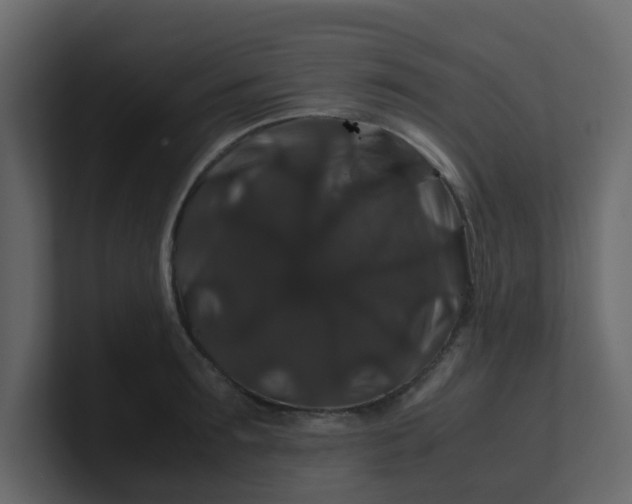 X0000101100899200807101445