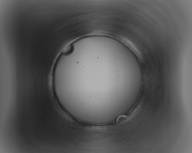 X0000101100900200807101445