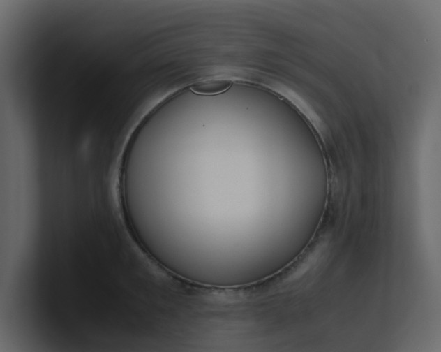 X0000101100901200807101445