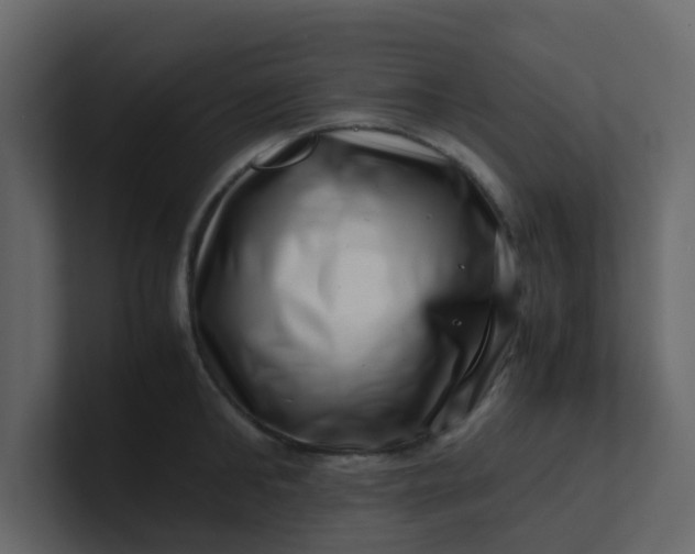 X0000101100902200807101445