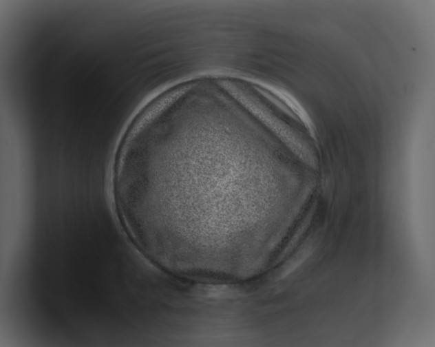 X0000101100903200807101445