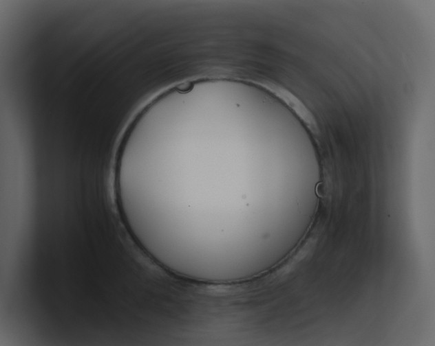 X0000101100904200807101445