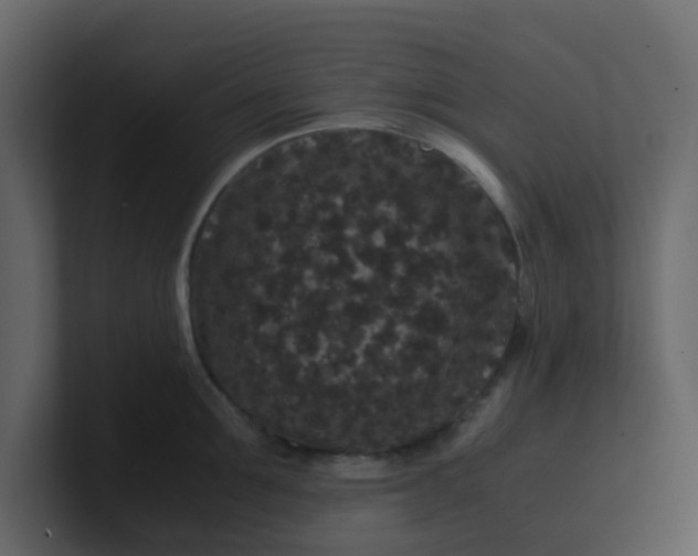 X0000101100907200807101444