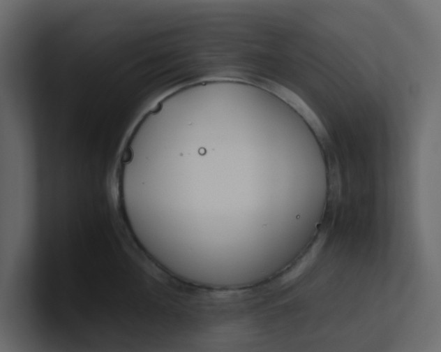 X0000101100908200807101444