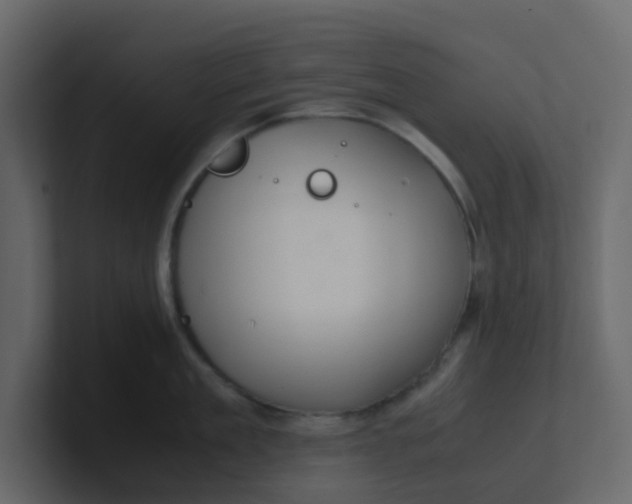 X0000101100909200807101444