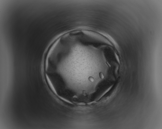 X0000101100910200807101444
