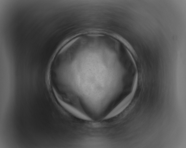 X0000101100911200807101444