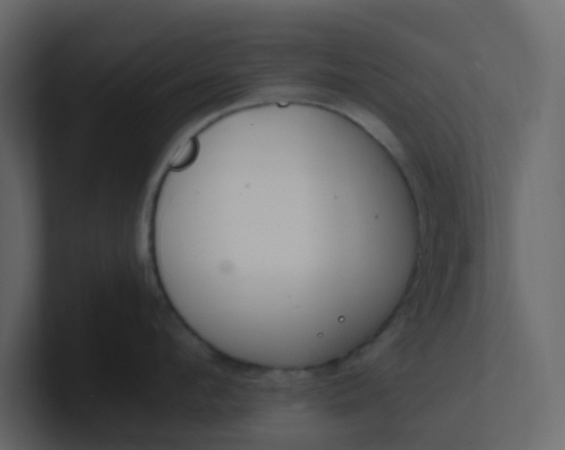 X0000101100912200807101444