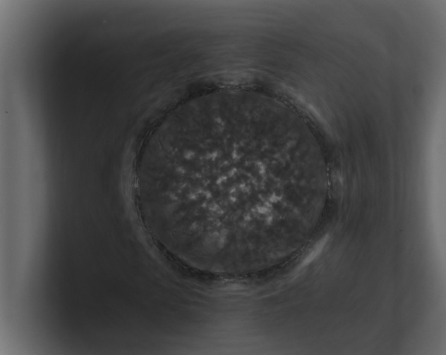 X0000101100913200807101444