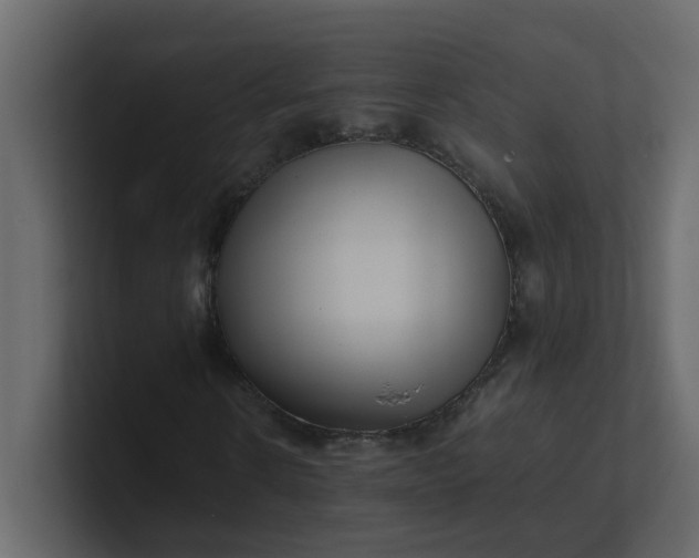 X0000101100914200807101444