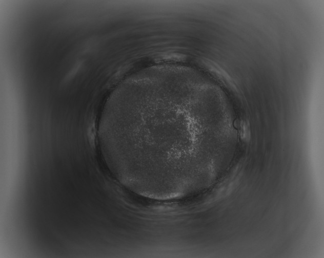 X0000101100915200807101444
