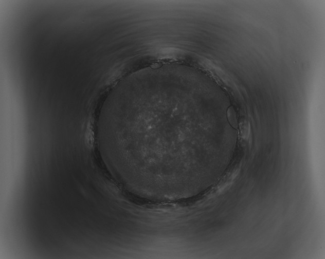 X0000101100916200807101444