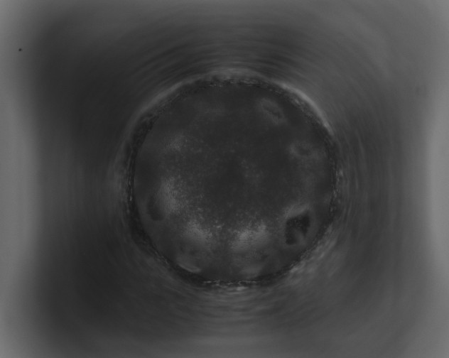 X0000101100919200807101444