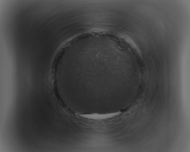 X0000101100920200807101444