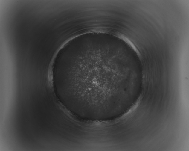 X0000101100923200807101444