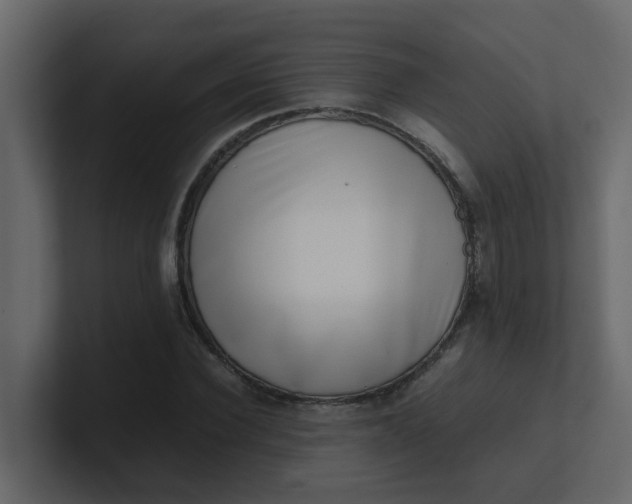 X0000101100924200807101444
