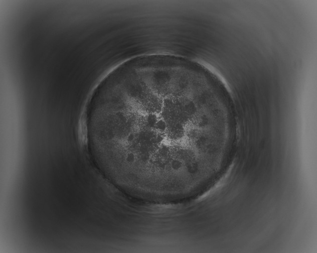 X0000101100925200807101444