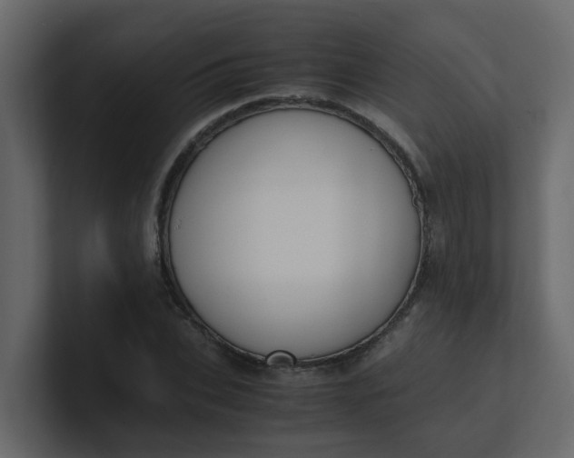 X0000101100927200807101444