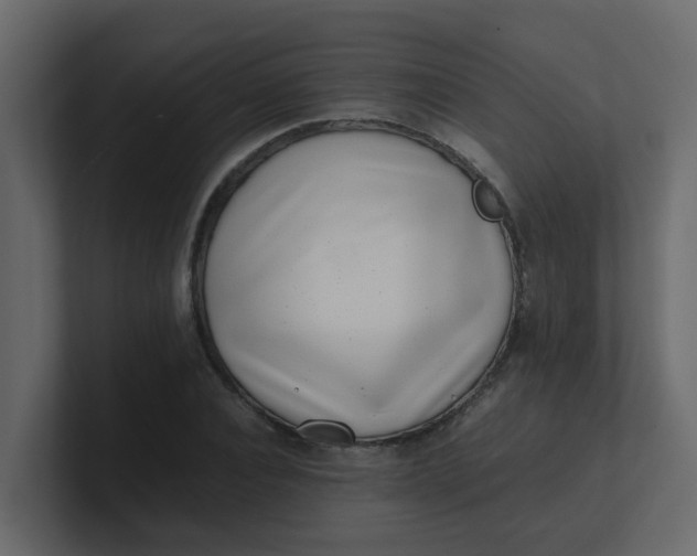 X0000101100928200807101444